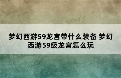 梦幻西游59龙宫带什么装备 梦幻西游59级龙宫怎么玩